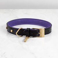 Ошейник Dog Collar Brass