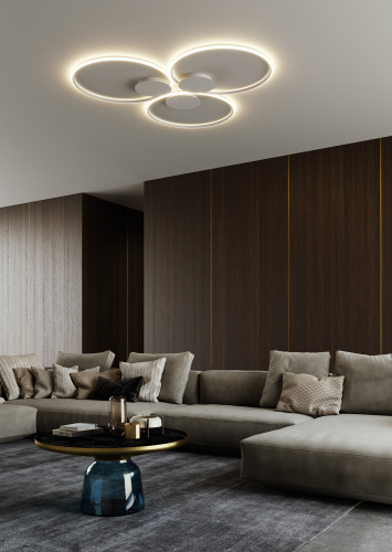 Настенный/Потолочный светильник Olympic 60 Bronze фото 3