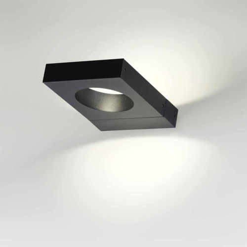 Уличный настенный светодиодный светильник Odeon Light Nature Tilda 6653/5WL фото 3