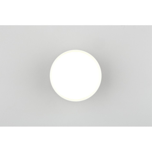 Светильник встраиваемый-накладной OML-103309-12 фото 5