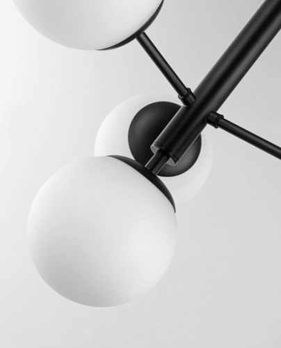 Подвесной светильник Lampit TP 2022-4 BK фото 4 Подвесной светильник Lampit TP 2022-4 BK фото 4