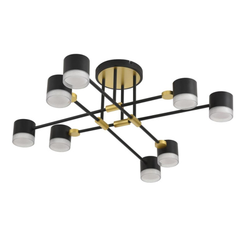 Люстра Lumion LENIANA 8307/8C