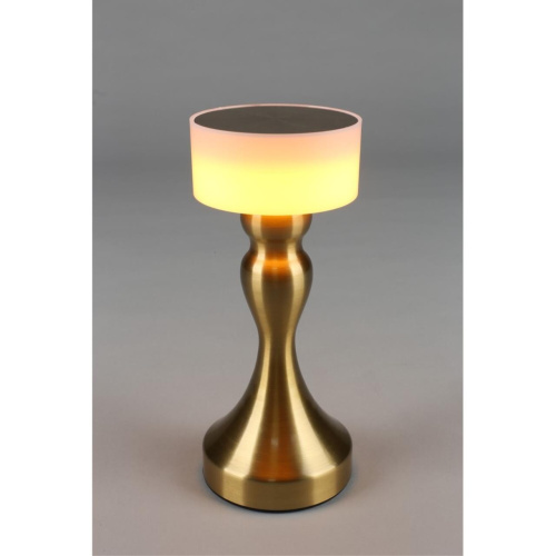 Настольная лампа OML-40304-01 фото 2 Настольная лампа OML-40304-01 фото 2