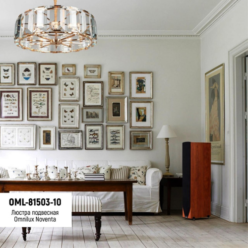 Люстра подвесная OML-81503-10 фото 4