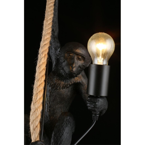 Светильник подвесной APL.309.16.01 фото 14