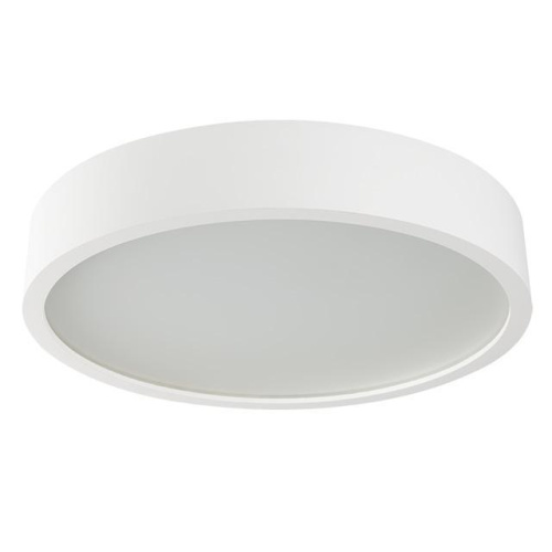 Настенный потолочный светильник Kanlux JASMIN 470-W/M 23128