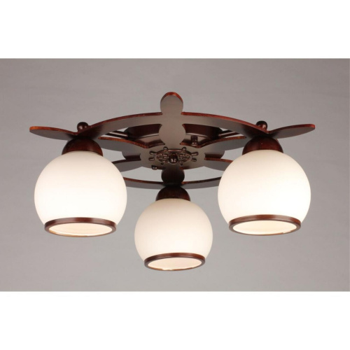 Люстра потолочная OML-50507-03 фото 5 Люстра потолочная OML-50507-03 фото 5