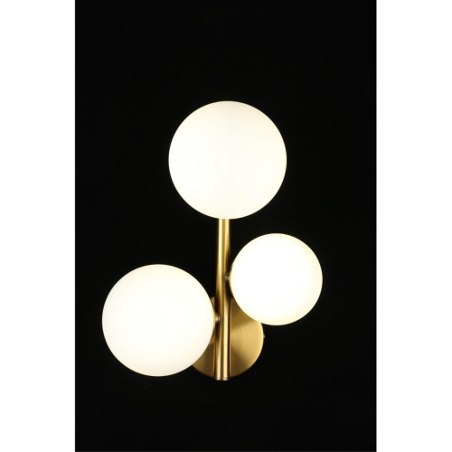 Светильник настенный (Бра) APL.314.01.03 фото 12