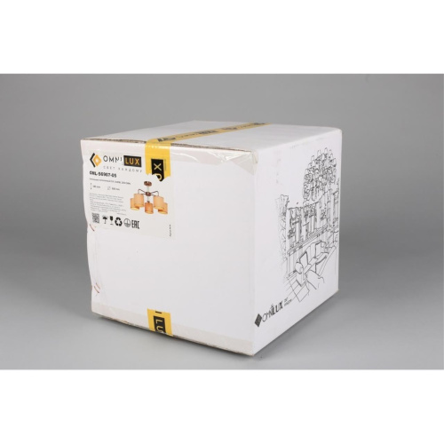 Люстра потолочная OML-56907-05 фото 10