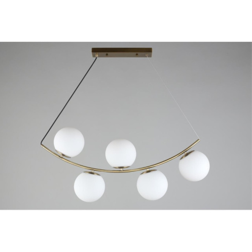 Люстра подвесная OML-94903-05 фото 10