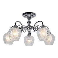 Люстра потолочная OML-53607-05