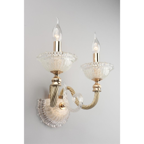 Светильник настенный (Бра) OML-88301-02 фото 3