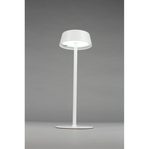 Настольная лампа OML-40514-01 фото 7