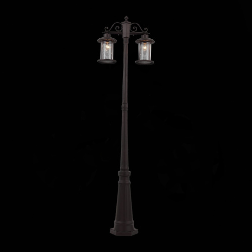 SL080.425.02 Светильник уличный наземный ST-Luce Темный кофе/Прозрачный, Темный кофе E27 2*100W LASTERO фото 5