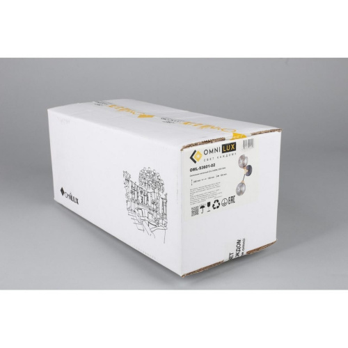 Светильник настенный (Бра) OML-93601-02 фото 2