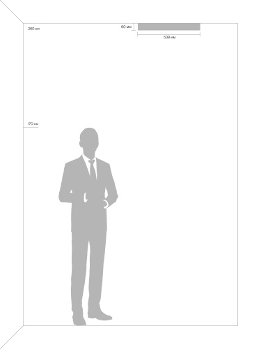 Настенный светильник (бра) Freya FR8016WL-01BBS фото 5