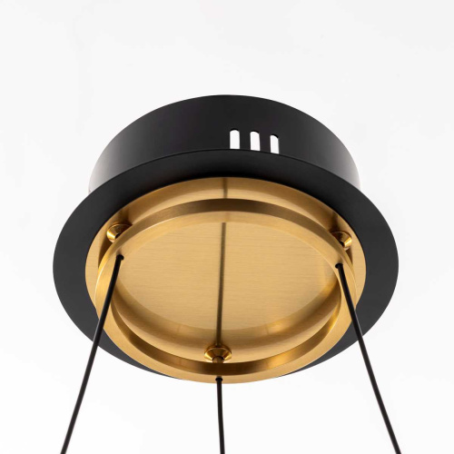 Подвесная светодиодная люстра Citilux CL211042 фото 9