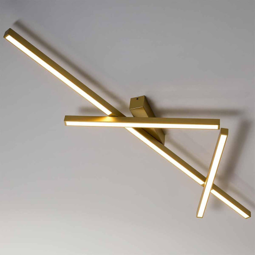 Потолочный светодиодный светильник Odeon Light Tao 4368/50CL фото 4