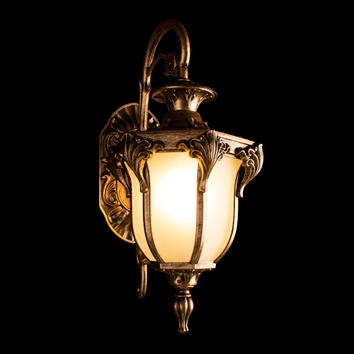 100017W Уличный настенный светильник LOFT IT Alessano фото 2