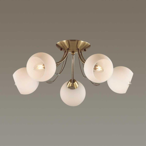 Потолочная люстра Lumion Comfi Tula 5265/5C фото 3