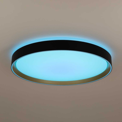 Потолочный светодиодный светильник Citilux Boss CL751451G фото 3