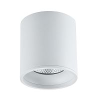 ST165.542.12 Светильник потолочный Белый LED 1*12W 4000K 840Lm Ra>90 36° IP44 D80xH85 85-265V Накладные светильники