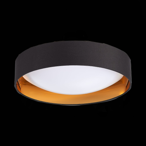 SLE201102-01 Светильник потолочный Черный, Золотистый/Белый LED 1*24W 4000K ORBIO фото 5