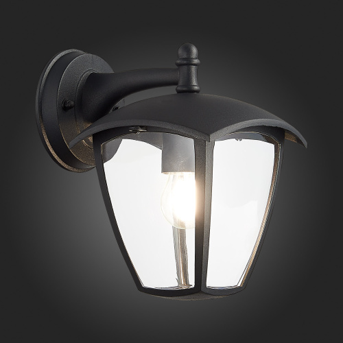 SL081.411.01 Светильник уличный настенный ST-Luce Черный/Черный, Прозрачный E27 1*40W SIVINO фото 3
