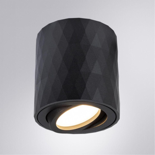 Потолочный светильник Arte Lamp Fang A5559PL-1BK фото 5