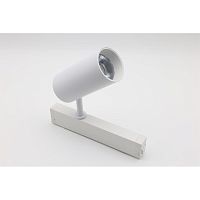 Светильник трековый APL.0205.10.20