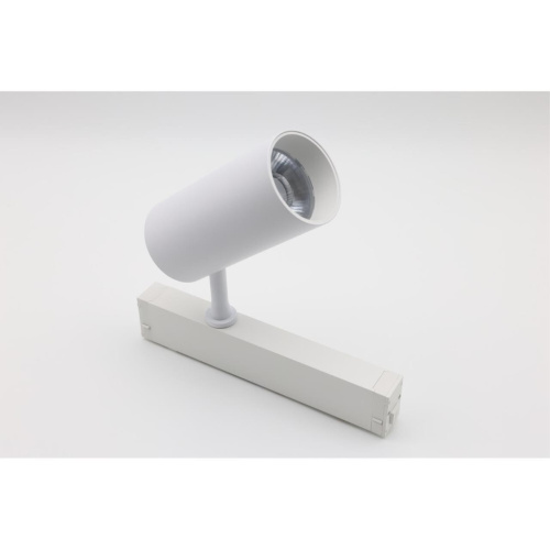 Светильник трековый APL.0205.10.20