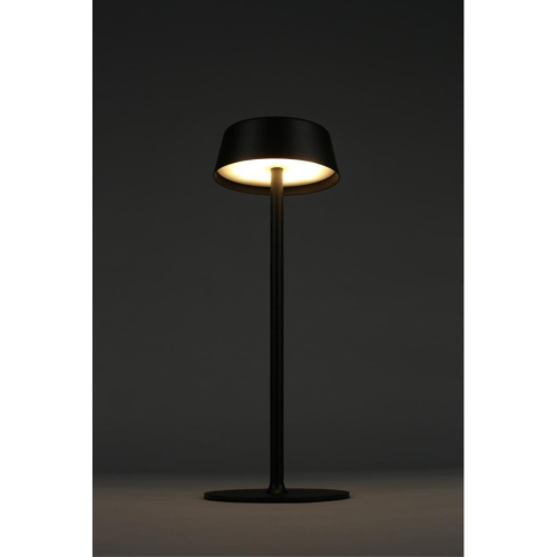 Настольная лампа OML-40504-01 фото 12 Настольная лампа OML-40504-01 фото 12