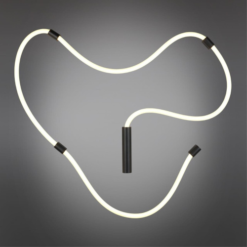 Светильник настенно-потолочный APL.773.02.78 фото 2