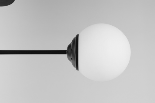 Подвесной светильник Lampit TP 2007-2 BK фото 2