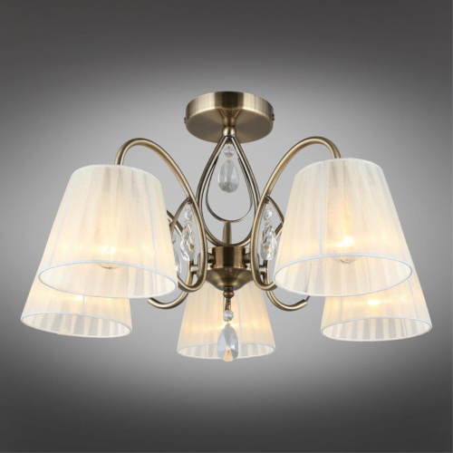 Люстра потолочная OML-56617-05 фото 3 Люстра потолочная OML-56617-05 фото 3