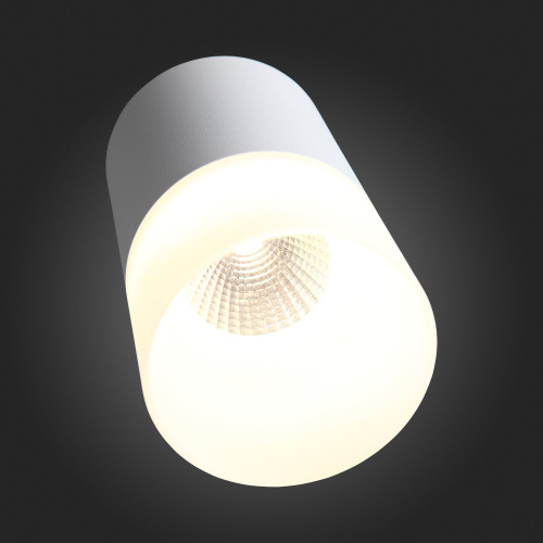 ST100.502.05 Светильник потолочный Белый LED 1*5W 3000K 390Lm Ra>80 120° D64xH110 170-240V Накладные светильники фото 3