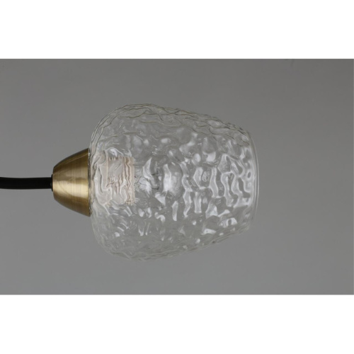 Люстра потолочная OML-67807-08 фото 8 Люстра потолочная OML-67807-08 фото 8