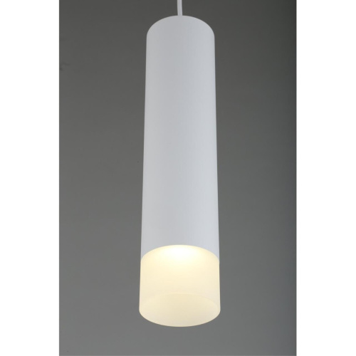 Светильник подвесной OML-102506-10 фото 5