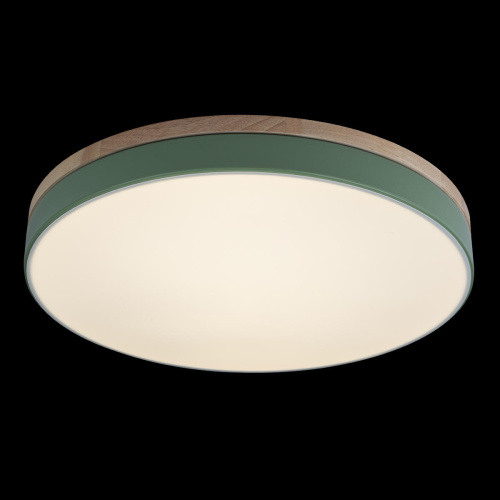10001/36 Green Потолочный светильник LOFT IT Axel фото 4