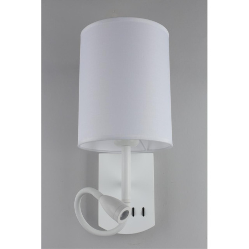 Светильник настенный (Бра) OML-62701-02 фото 6