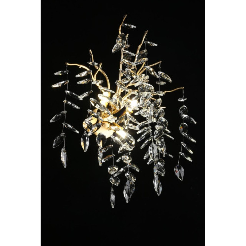 Светильник настенный (Бра) APL.847.01.03 фото 12