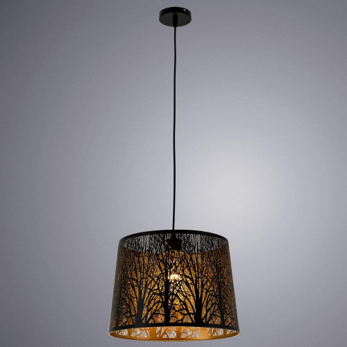 Подвесной светильник Arte Lamp Celesta A2769SP-1BK фото 3