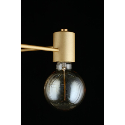 Люстра потолочная APL.911.07.05 фото 13