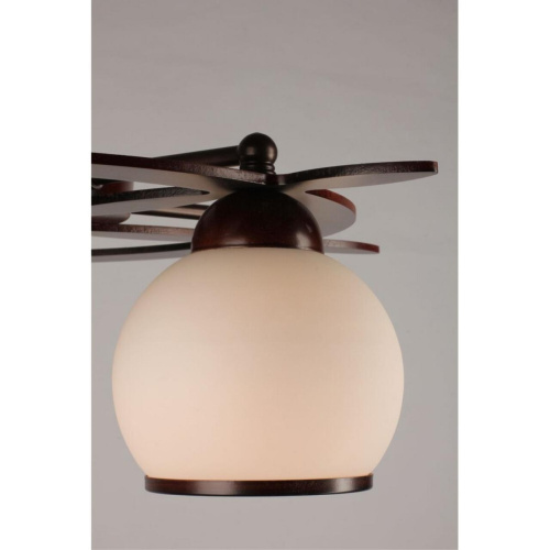 Люстра потолочная OML-50507-05 фото 2 Люстра потолочная OML-50507-05 фото 2