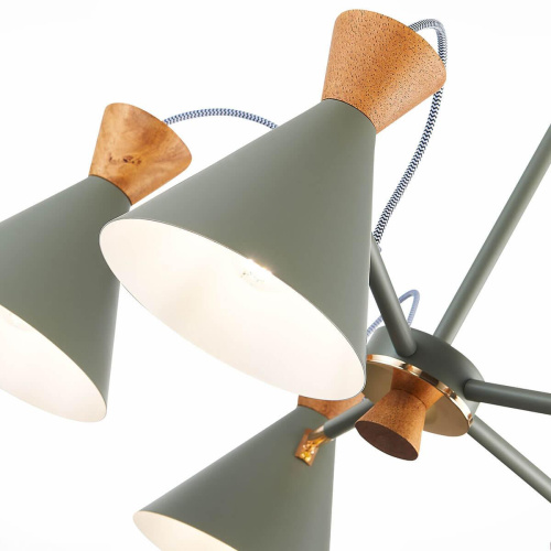 Потолочная люстра Evoluce Modica SLE125112-05 фото 3