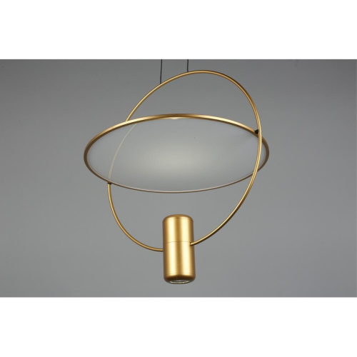 Светильник подвесной OML-29816-02 фото 9