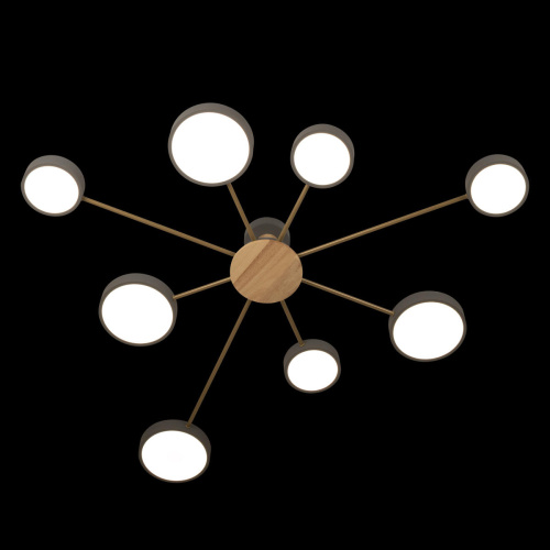 10316/8 Grey Потолочный светильник LOFT IT Sunrise фото 4