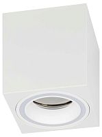 Настенно-потолочный светильник ЭРА OL46 WH Б0059797