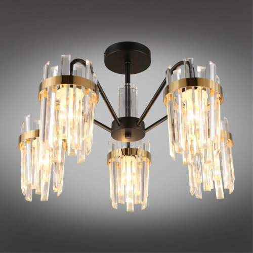 Люстра потолочная OML-67717-05 фото 3