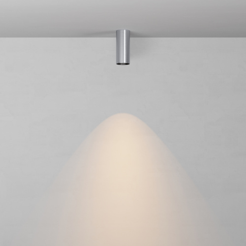 Потолочный светильник Technical C056CL-L12W2.7K-W-PT фото 6